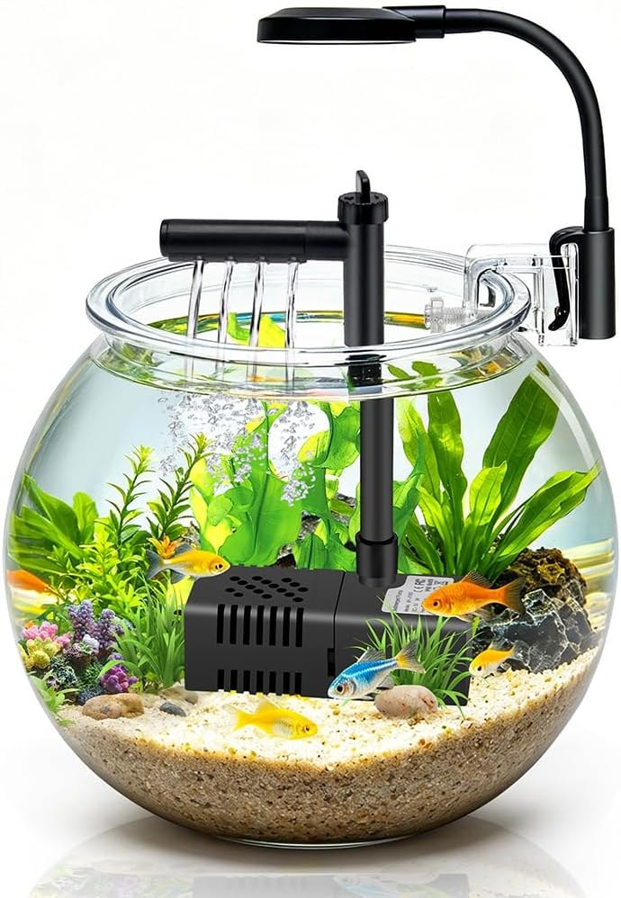 DaToo Starter Tanks & Care